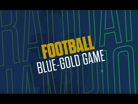 Notre Dame Fighting Irish Blue & Gold Game